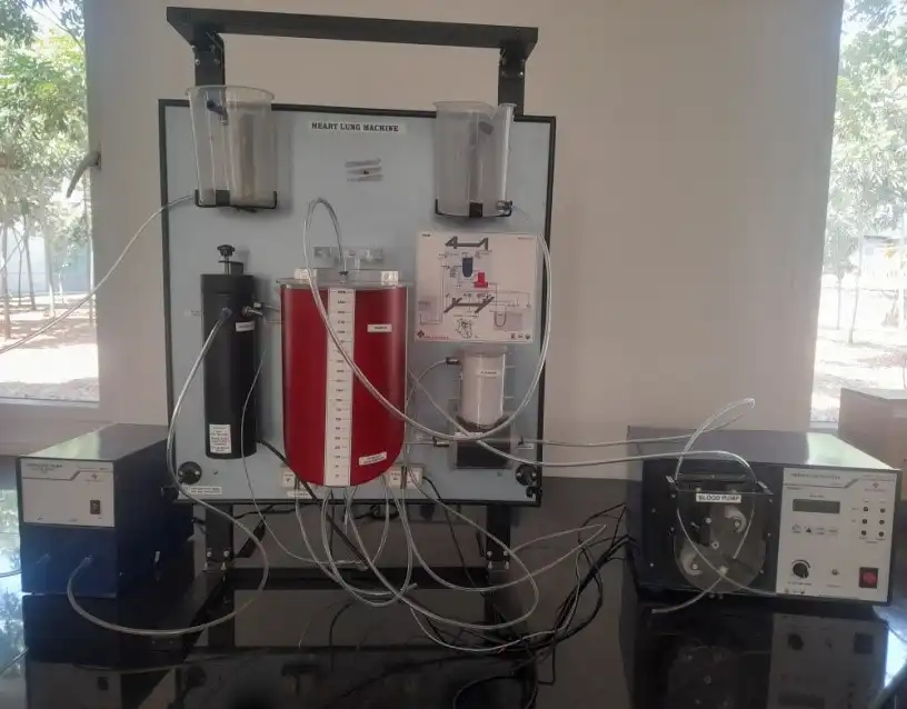 Heart lung machine model